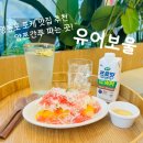 루디저트 | 영등포 포케 샐러드집 추천 | 유어보울 양쯔간루 유행 디저트 후기