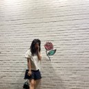 스텔라지 이미지