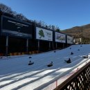 보이는 당구 (초급 B) | [겨울 여행] 내돈내산 곤지암리조트 눈썰매장 스키장 + 예약 방법, 주차, 꿀팁, 운영시간, 준비물...