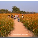 드림파크 이미지