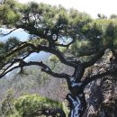 진산파출소 | 광주 소태역-무등산