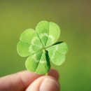 내토지부동산중개 이미지