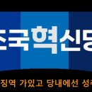 지저분한 조국혁신당, 대표는 징역 가있고 당내에선 성추행... 이미지