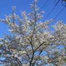 보령-미산-1 이미지