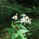 오마도터널 이미지