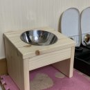 123무도장 | 강아지 원목식기 더하다 나무공방 구매후기