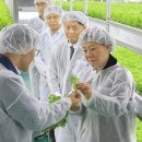 중동농장 이미지