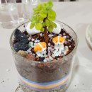 거제치유농업동산 | 거제치유농업동산 방문체험 - 원예치유 테라리움 만들기 로뎀나무아래에서