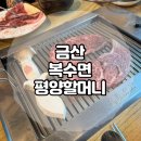 복수면 복수삼거리 | 금산 복수면 소고기 맛집 원조평양할머니 / 대둔산 맛집