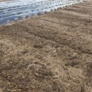 은현농장 이미지