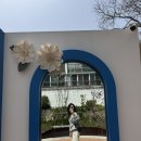 청사포로 | 부산 해운대 무조건가봐야하는 블루라인파크 내돈내산