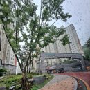 내덕서희스타힐스아파트 이미지