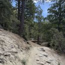 Idyllwild 토요산행 및 캠핑. 4월 25 - 26일 26년. 이미지