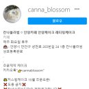 칸나블러썸 이미지