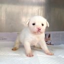 연일읍사무소 이미지