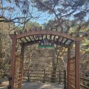 치악산둘레길 11코스 한가터길 | 원주 치악산 둘레길 11코스 대중교통 완벽 가이드: 13번 버스로 시작하는 한가터길 트레킹