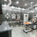대구동물병원