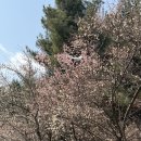웨이스테이션 | 태릉입구역 카페 | [웨이스테이션] 소품샵이 있는 카공하기 좋은 카페 분위기 카페 추천