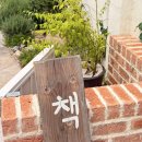 [경주] 황리단길 구경리스트 1. 책방 무제, 황리단길 독립서점 솔직 후기 (위치·영업시간)