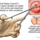 이유여성의원 이미지