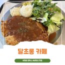 정읍 내장산 맛집 탐방! 돈까스가 예술인 '달초롱카페' 찐 후기