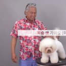 (주)에듀펫 이미지