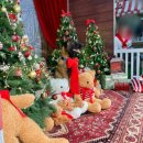 (주)네오리스 | [강아지 브이로그] 일산 킨텍스 메가주 방문기 (최태작가 스냅촬영)