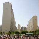 살구골서광·성지·동아·진덕 이미지