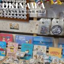 로컬서프 | 오키나와 국제거리 쇼핑 스누피 서프샵 방문 후기