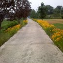 구정면사무소 이미지