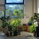 대전낭월동우체국 1층 | 대전 낭월동 카페 BE OKAY｜대전 운전면허시험장 근처 감성 카페 추천