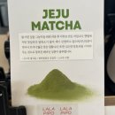 라라피포 제주 이미지