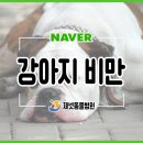 부산동물병원 제넷 이미지