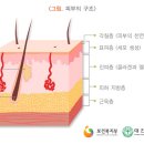 영앤뷰티 이미지