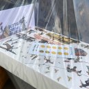 오렌즈 합정점 | 혼놀강의