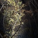 카페애리스 - 서산시 부춘4로 20-1 | 카페애리스