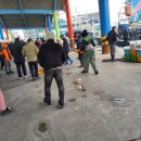 묵호어판장 이미지