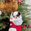 대홍약국 이미지