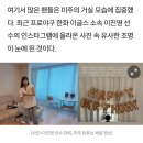 축구선수 송범근 결별 6개월 한화 야구선수 이진영, 이미주 열애설 부인 이미주 공식입장 열애설 아닌 팬심 총정리 이미지