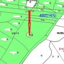 송해면-1 이미지