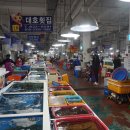고성유람선
