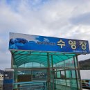 웅상문화체육센터 수영장 | 영덕 문화체육센터 실내수영장 후기