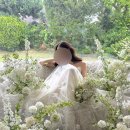 무이스튜디오 유엔빌리지 오후B타입 5월 촬영 후기 : 한철휘 이사님 👰🏻‍♀️🤵🏻‍♂️