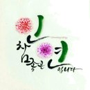 여행시작(주) 이미지