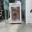 내가할개 이미지