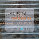 어린이집 | [강서구 어린이집 에어컨 청소 후기] 아이들 공간이라 더 꼼꼼히!