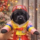 올림푸스원 이미지