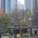 원촌 | 구관이 명관 7,9호선 역세권 반포자이 간단 임장 후기