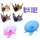 애완용품 - 종로구 종로51길 16 | 애완용품