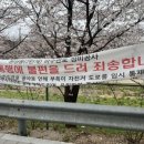 지에스25 천안원성천점 네이버블로그